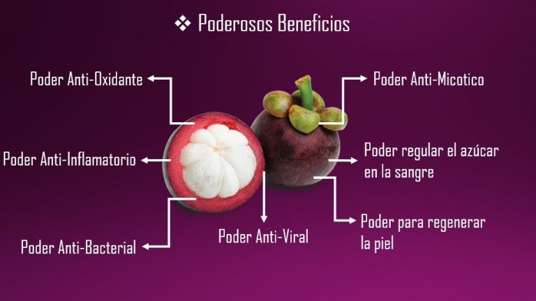 Beneficios Del Mangostan Archivos Alimentossano